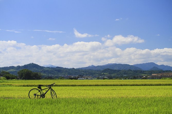 Walking & Cycling - Inclusions and Logistics Information