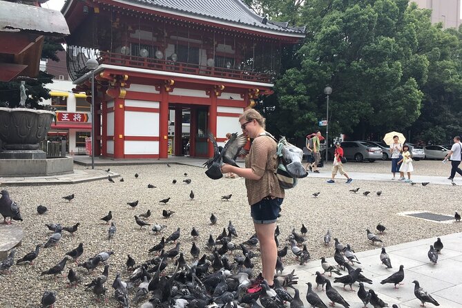 Walking Small-Group Nagoya City Tour - Itinerary Highlights