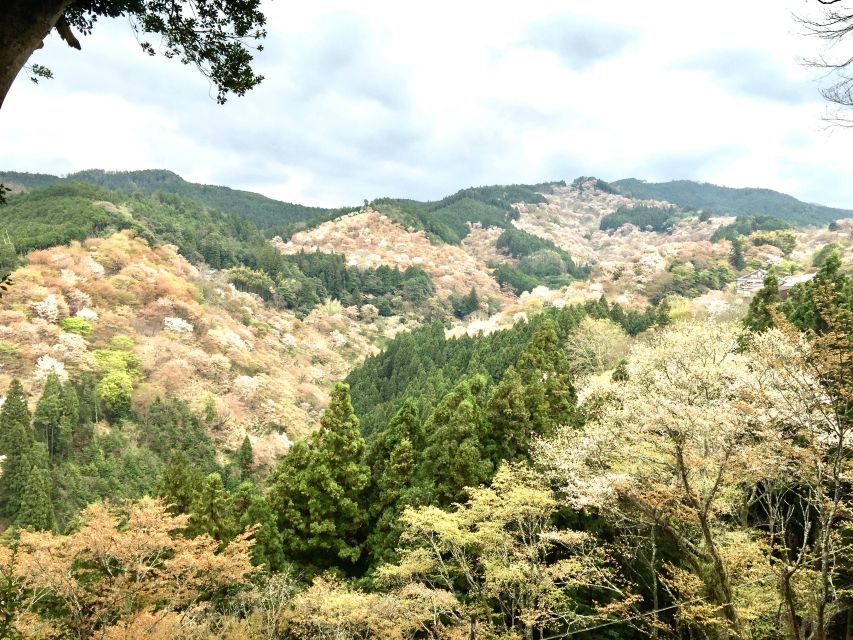 Yoshino: Private Guided Tour & Hiking in a Japanese Mountain - Itinerary Stops