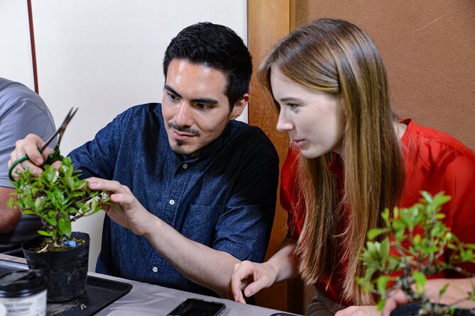 2Days-Bonsai & Sencha Tea Experience: Pastime of the Literati - Key Takeaways