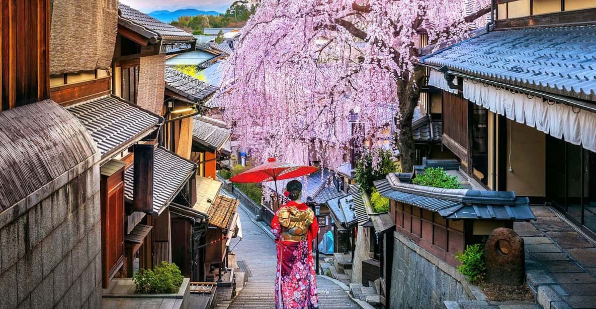 3 Days Private Osaka Kyoto and Nara Tour With English Driver - Just The Basics