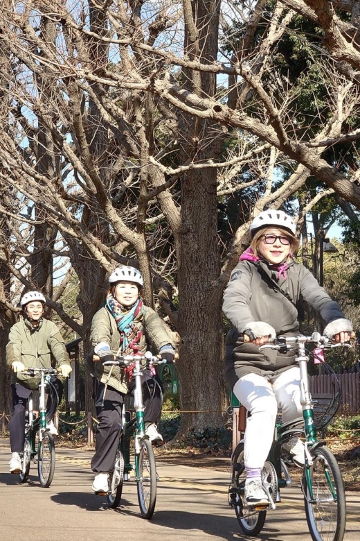 3-Hour Private E-Bike Tour Fr Shinjuku, Start at Your Hotel - Tour Details
