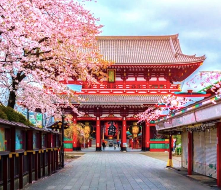 10-Day Private Guided Tour in Japan Moreover 60 Attractions - Inclusions and Services
