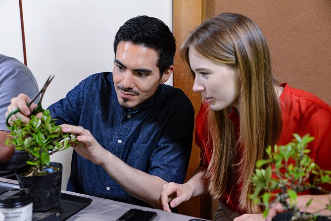 1Day-Bonsai & Sencha Tea Experience: Pastime of the Literati - Cultural Insights