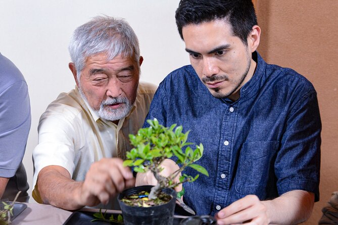 2Days-Bonsai & Sencha Tea Experience: Pastime of the Literati - Tea Ceremony Etiquette and History