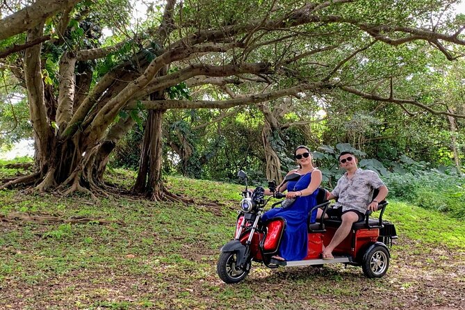 2h 3-Seater Electric Trike Rental (Ishigaki, Okinawa) - Booking Expectations