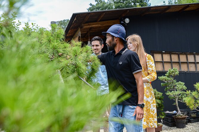 3Days-Bonsai & Sencha Tea Experience: Pastime of the Literati - Daily Itinerary for the Experience