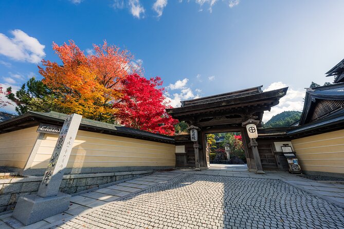 7 Hours Tour Enjoyment Light Plan in Koyasan - Optional Activities and Add-Ons