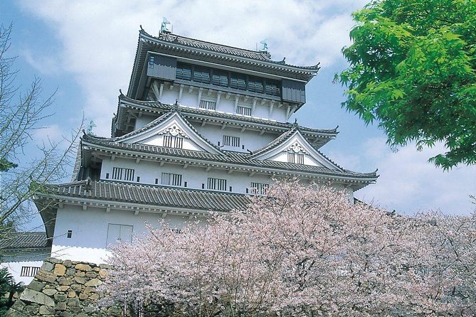 A Day Charter Bus Tour Around Cherry Blossoms in Northern Kyushu - Departure and Return Information