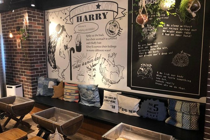 Admission to Hedgehog Cafe in Harajuku - Location and Meeting Point