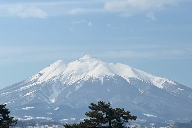 Apple Picking and Hirosaki Full Day Private Tour - Cancellation Policy