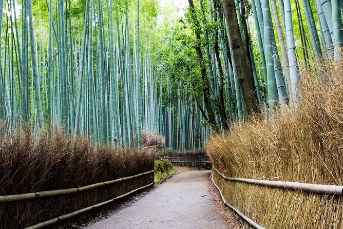 Arashiyama Bamboo Grove Day Trip From Kyoto With a Local: Private & Personalized - Highlights of the Day Trip