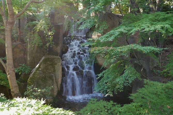 Autumn Leaves Private Tour in Nagoya - Booking Details