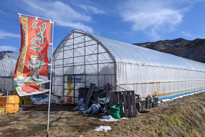 Castle Ruins Tour in Matsumoto With Wine Tasting and Lunch - Lunch Delights