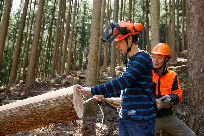 Discover Foresters Life Tour (1-Day) - Inclusions and Logistics