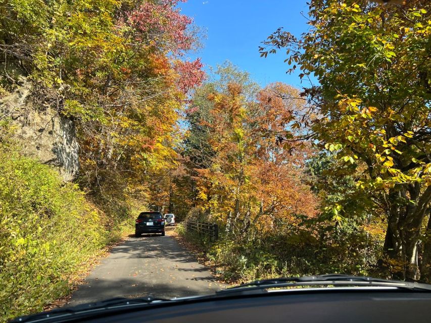 Driving Support in Akita - Activity Description and Meeting Points