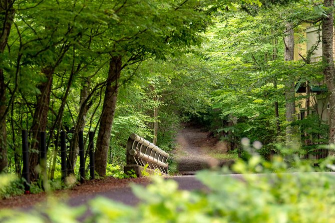 Exploring the Nature and Sightseeing Spots of Karuizawa Forest, Including Activities Such as Forest Bathing and Cycling - Tour Details and Duration
