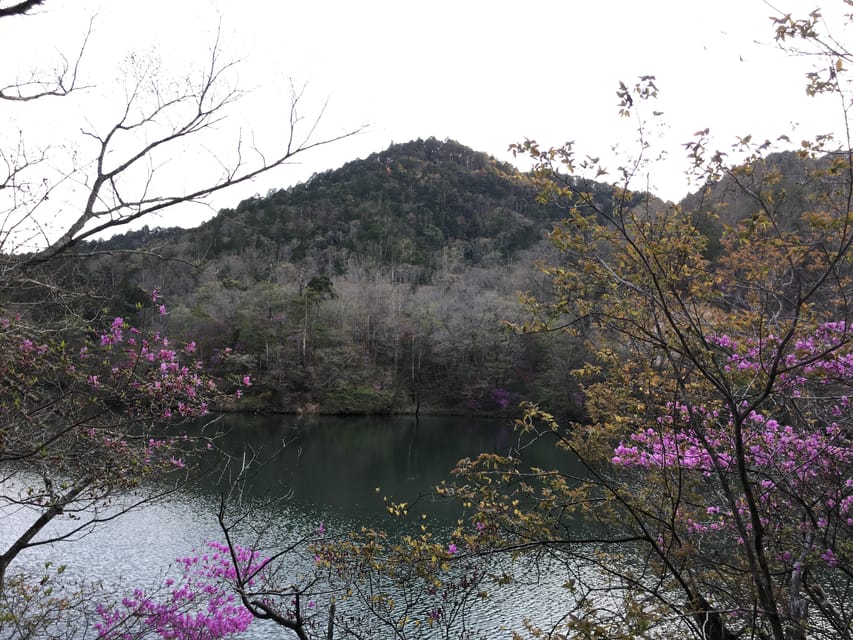 From Kyoto: E-Biking & Ninjas Training Mt. Hiking in Koka - Inclusions and Fees