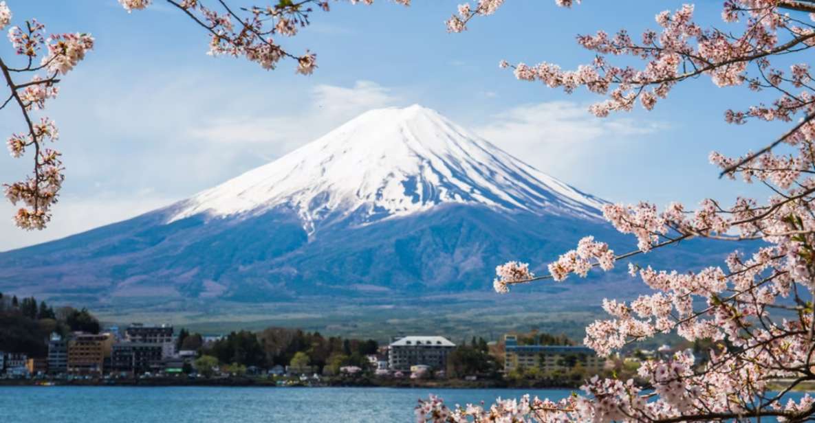 From Tokyo: 10-hour Mount Fuji Private Customizable Tour - Itinerary