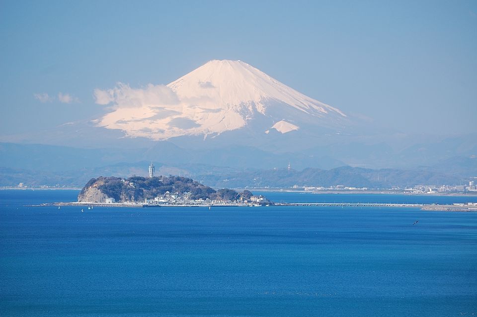 From Tokyo: Kamakura and Enoshima 1-Day Bus Tour - Customer Reviews