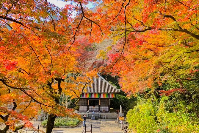 From Tokyo: Kamakura & Enoshima - One Day Trip - Transportation Options