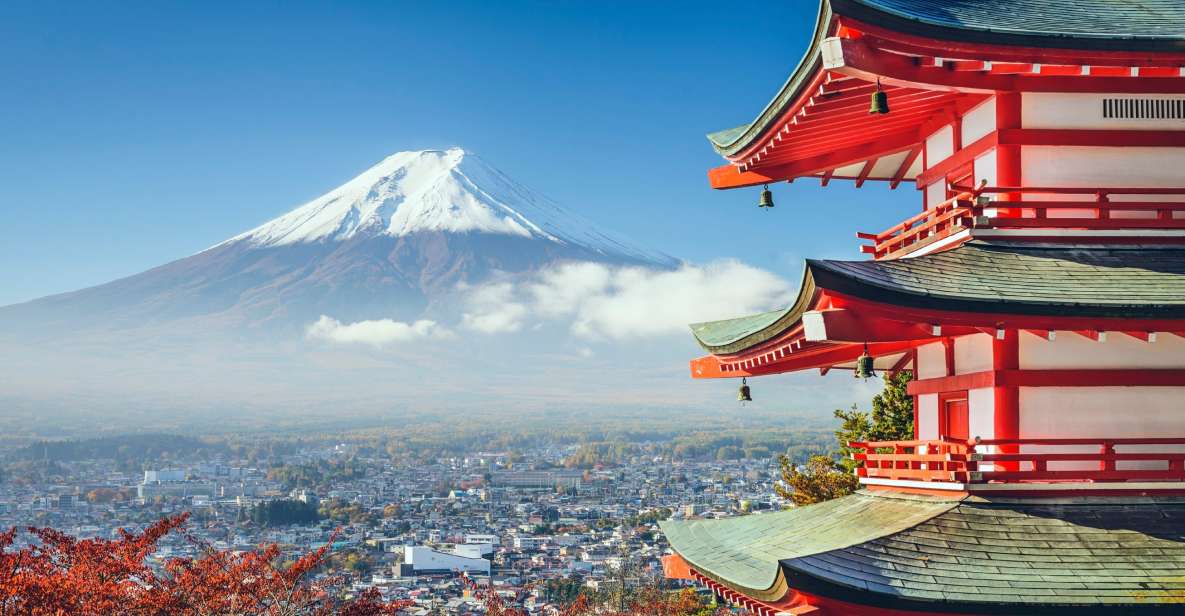 From Tokyo: Mount Fuji Private Day Tour - Experiences