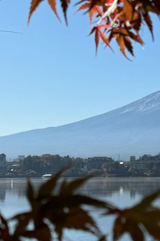 Fuji Tour: Exploring the Beauty Around Mount Fuji - Booking Information