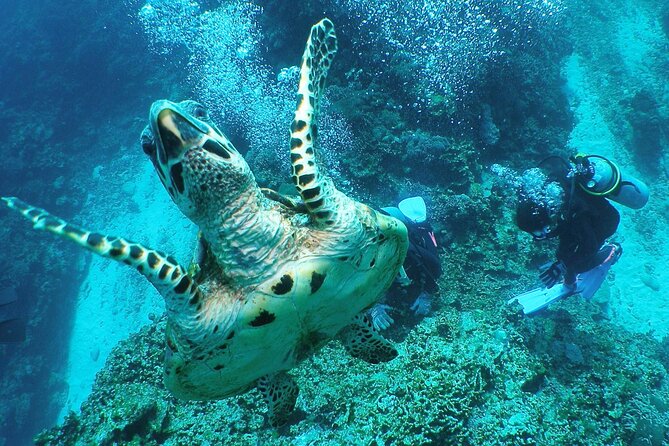 Full Day Guided Boat 2diving in Kerama Islands（License Required） - Cancellation Policy