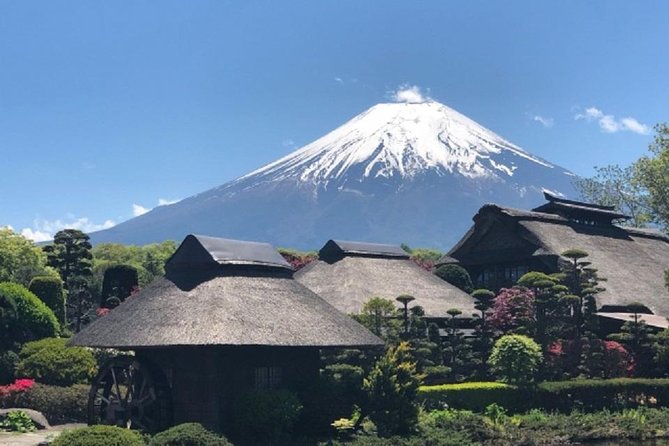 Full Day Mt.Fuji Chartered Taxi Tour - Pricing