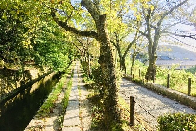 Full-Day Private Guided Tour to Kyoto Temples - Cultural Experiences