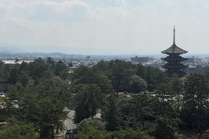 Full-Day Private Guided Tour to Nara Temples - Temple Visits