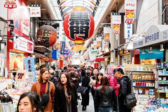 Full Day Private Shore Tour in Osaka From Osaka Cruise Port - Additional Services