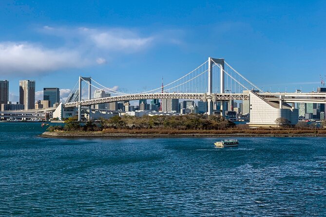 Full-Day Private Tour to Discover The Best of Tokyo - Weather Considerations