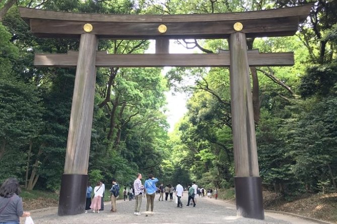 Full Day Tokyo Chartered Taxi Tour - Booking Details