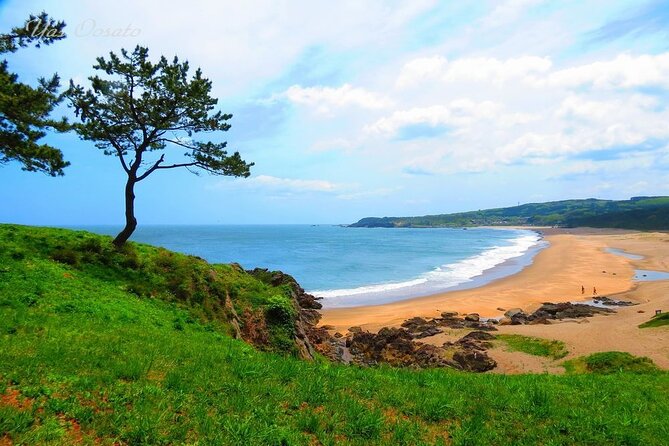 Hachinohe Half-Day Private Trip With Government-Licensed Guide - How Viator Works