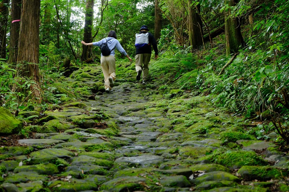 Hakone Hachiri: Old Tokaido Highway Hiking Tour - Directions