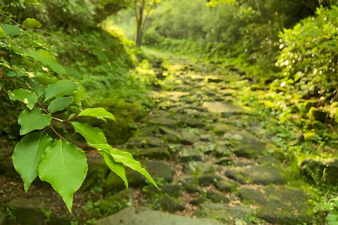 Hakone Old Tokaido Road and Volcano Half-Day Hiking Tour - Meeting Details