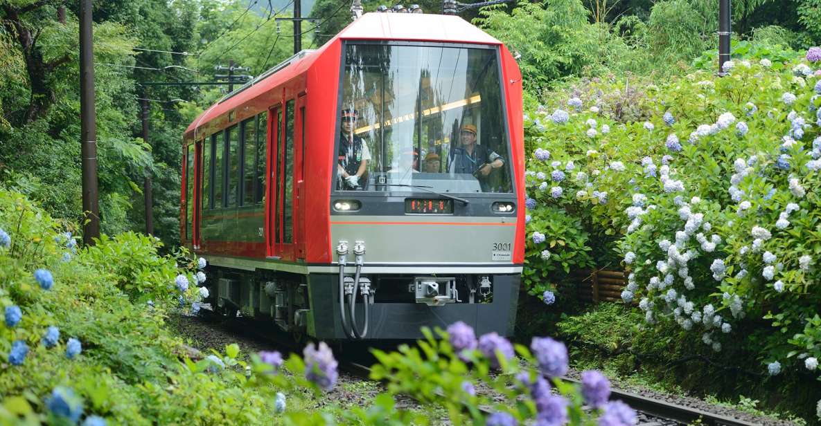 Hakone: Train Pass With Unlimited Rides & Activity Discounts - Inclusions