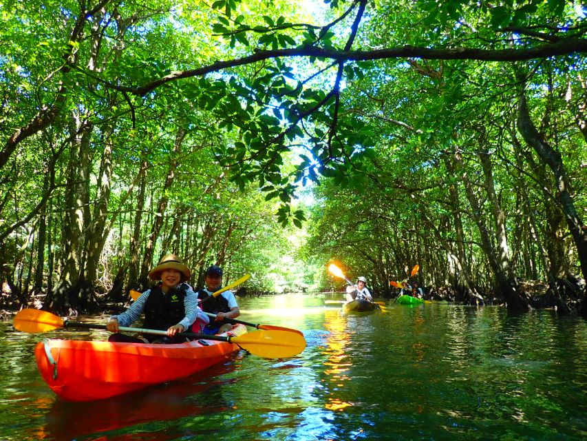 Iriomote Island: Kayaking and Canyoning Tour - Customer Reviews
