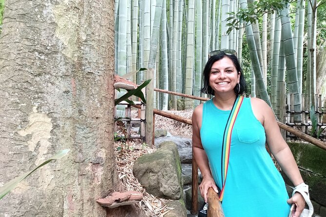 Kamakura Full Day Tour With Licensed Guide and Vehicle From Tokyo - Guide and Vehicle Details