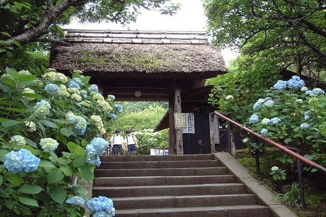 Kamakura Full Day Tour With Licensed Guide and Vehicle - Languages Offered