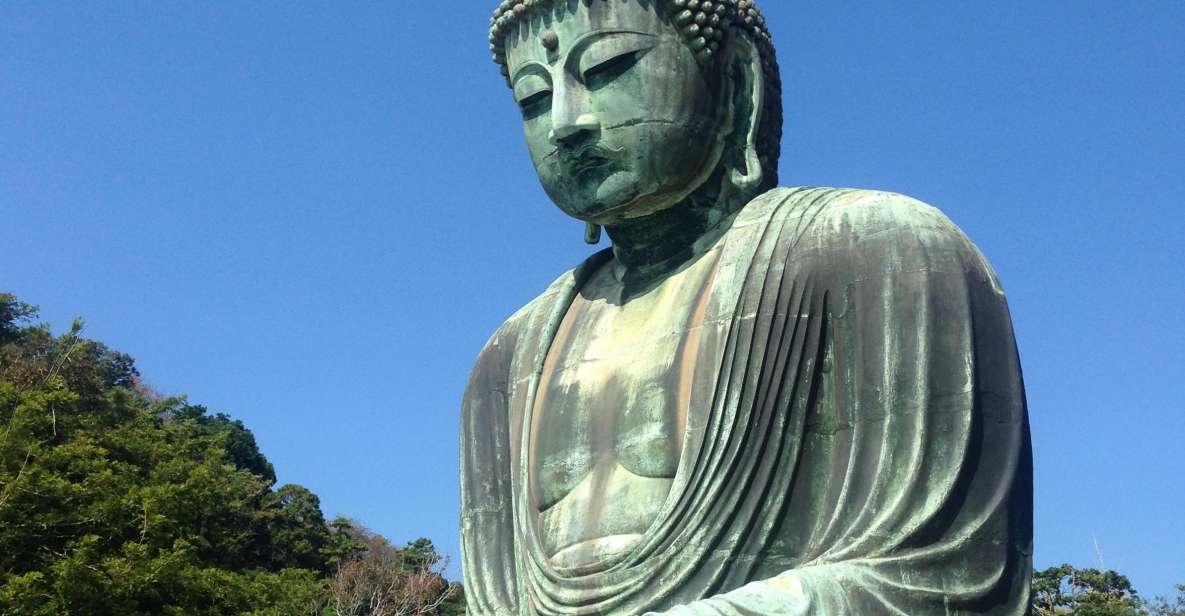 Kamakura: Great Buddha, Hase Temple, & Komachi Street Tour - Experience