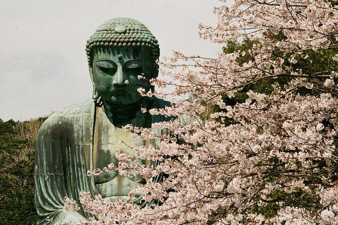 Kamakura or Tokyo Castamized Private Tour -English Speaking Guide - Cancellation Policy Details