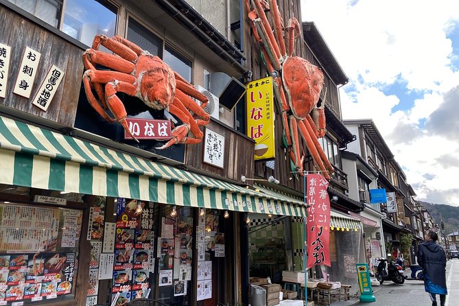 KINOSAKI ONSEN Custom Tour Private Car and Driver (Max 9 Pax) - Participant Information