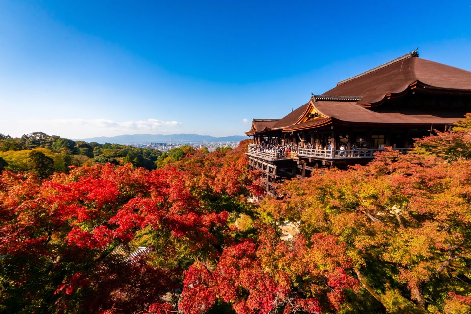 Kiyomizu Temple and Backstreet of Gion Half Day Private Tour - Experience Highlights
