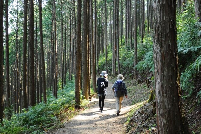 Kumano Kodo Pilgrimage Tour With Licensed Guide & Vehicle - Booking Process and Pricing