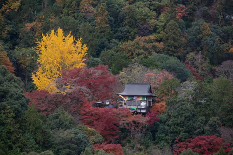 Kyoto: Arashiyama Forest Trek With Authentic Zen Experience - Experience