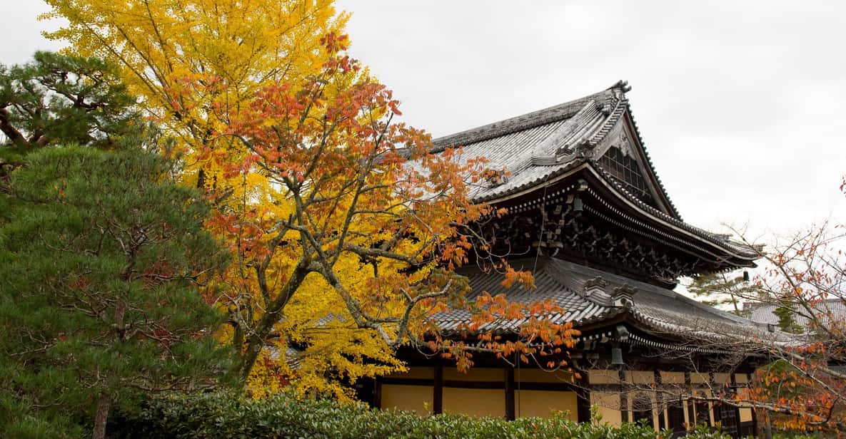 Kyoto: Bicycle Adventure Tour - Tour Experience