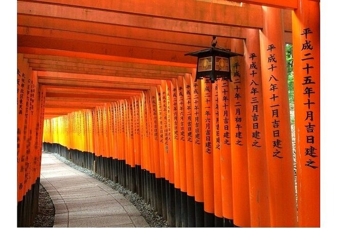 Kyoto & Nara 1 Day Private Charter Car Tour From Osaka or Kyoto - Tour Duration