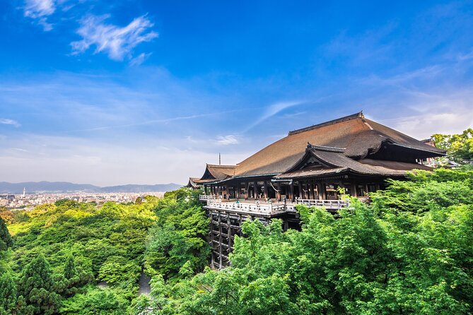 Kyoto Private 6 Hour Tour: English Speaking Driver Only, No Guide - Safety and Comfort Concerns